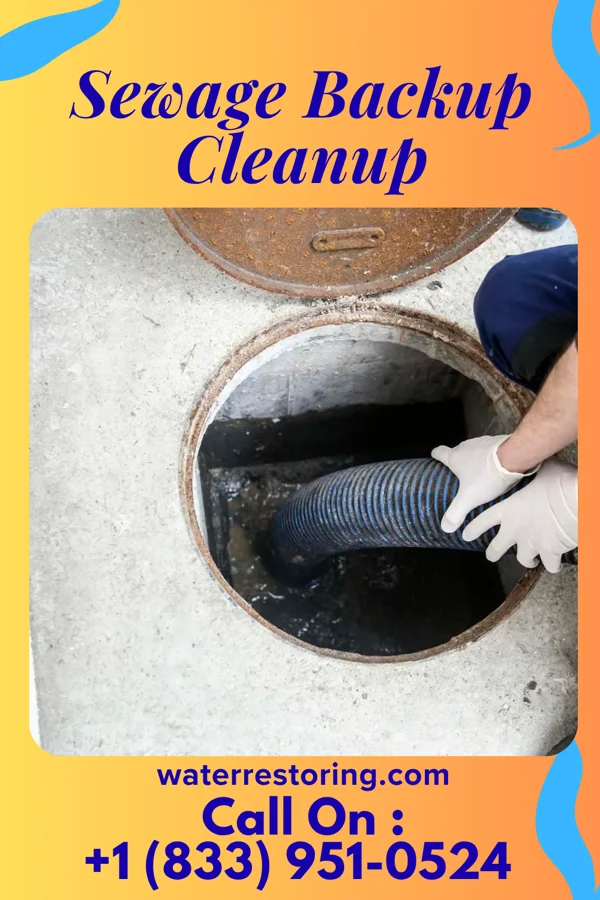 Sewage Backup Cleanup in Seven Devils, NC