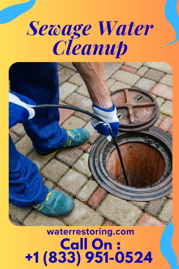 Sewage Water Cleanup in Seven Devils, NC