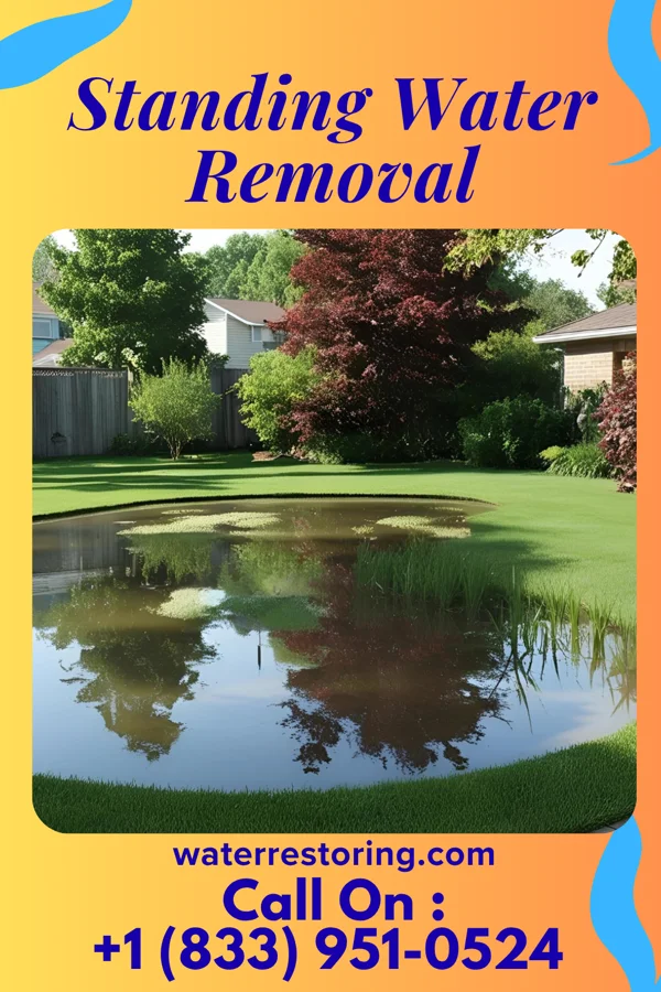 Standing Water Removal in Seven Devils, NC